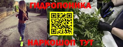 крисы Кунгур