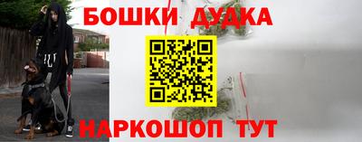 крисы Кунгур