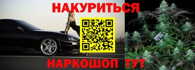 крисы Кунгур