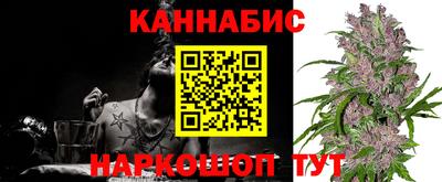 крисы Кунгур